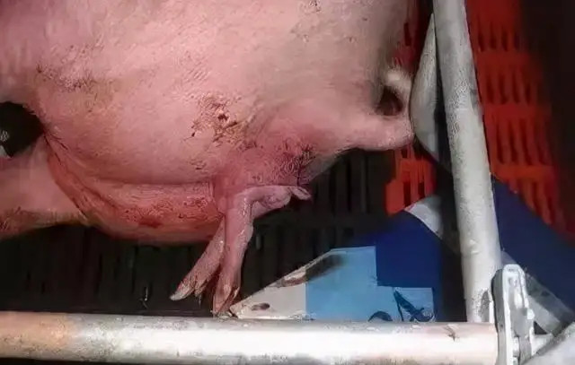 ĸ�����̹���������