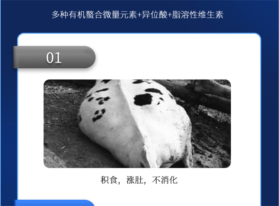 pp������Ϸ�ٷ���վ����ţ���������Ӽ�ţ��׳�챦��Ʒ����