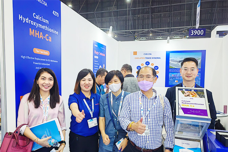 pp������Ϸ�ٷ���վ��չVIV-ASIA