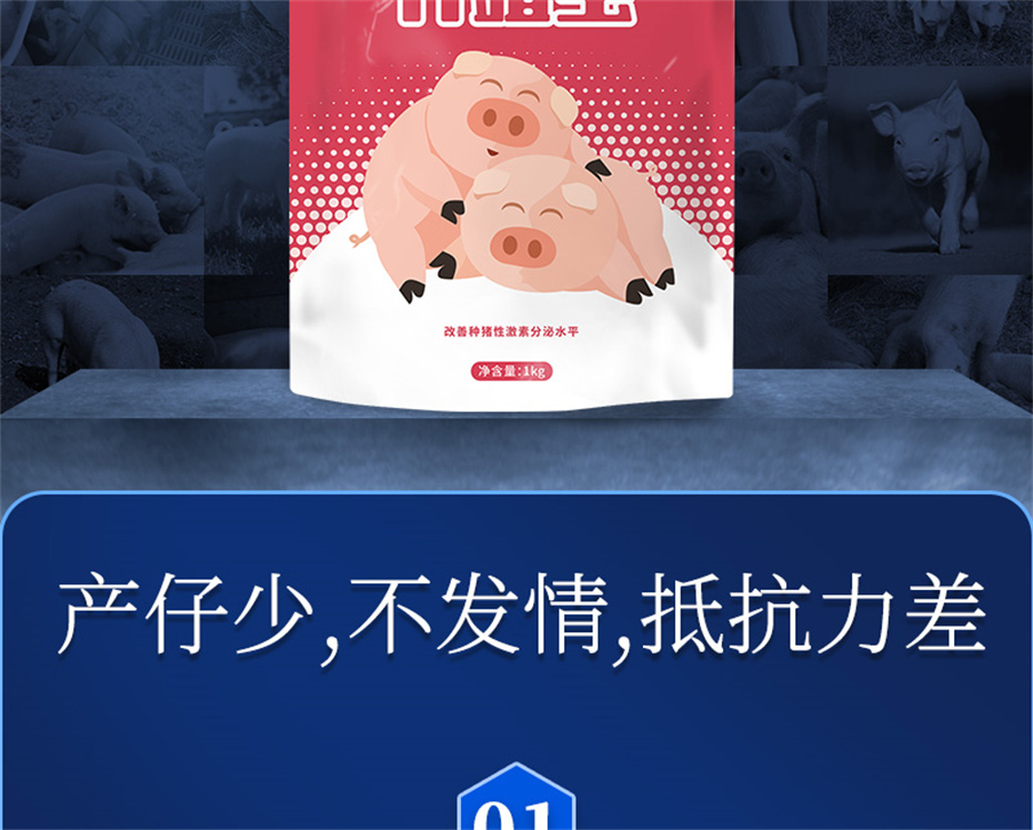 pp������Ϸ�ٷ���վ�������������Ӽ���ֳ����Ʒ����