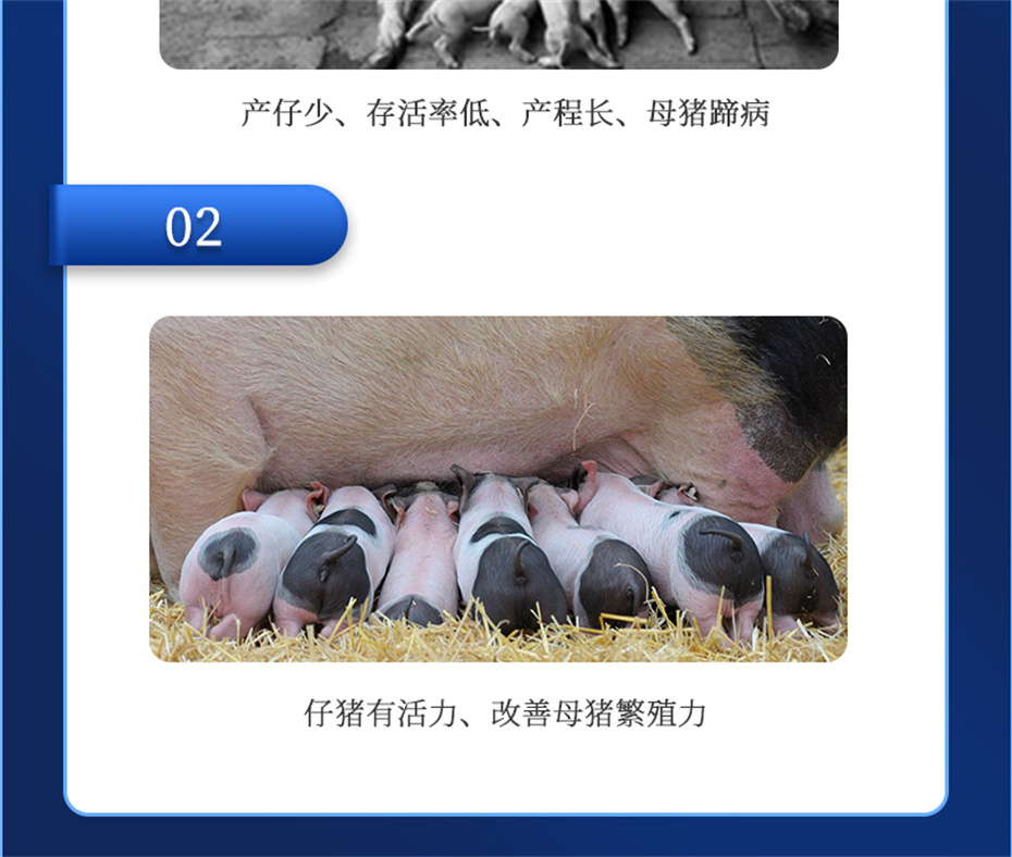 pp������Ϸ�ٷ���վ�������������Ӽ���ֳ����Ʒ����