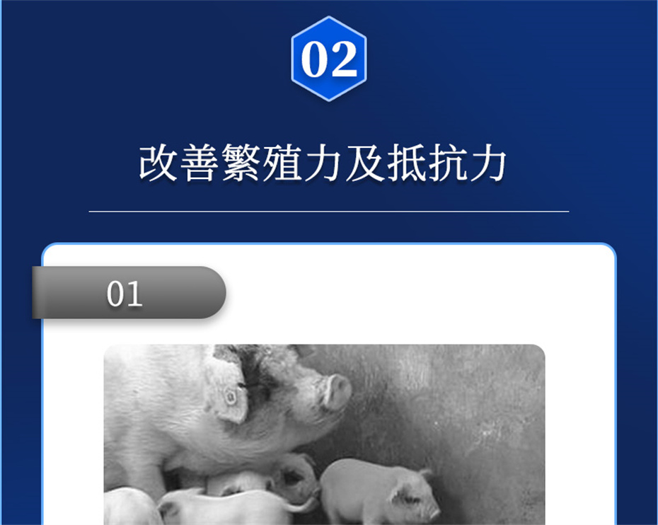 pp������Ϸ�ٷ���վ�������������Ӽ���ֳ����Ʒ����