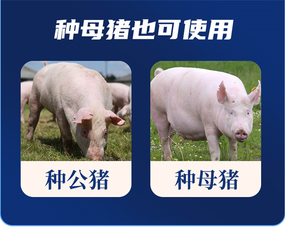 pp������Ϸ�ٷ���վ�������������Ӽ���ֳ����Ʒ����