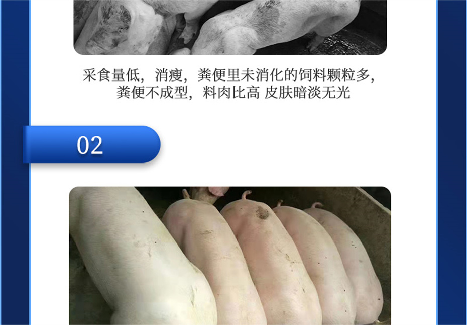 pp������Ϸ�ٷ���վ�������������Ӽ���������Ʒ����