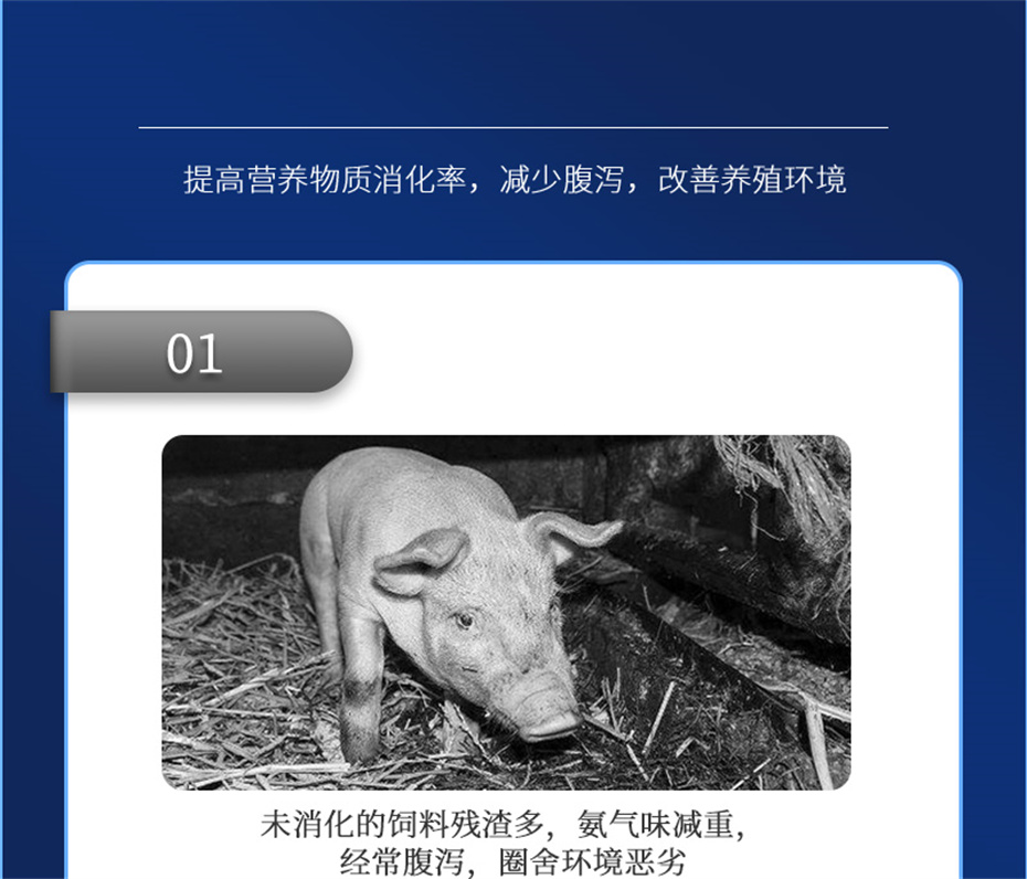 pp������Ϸ�ٷ���վ�������������Ӽ���������Ʒ����
