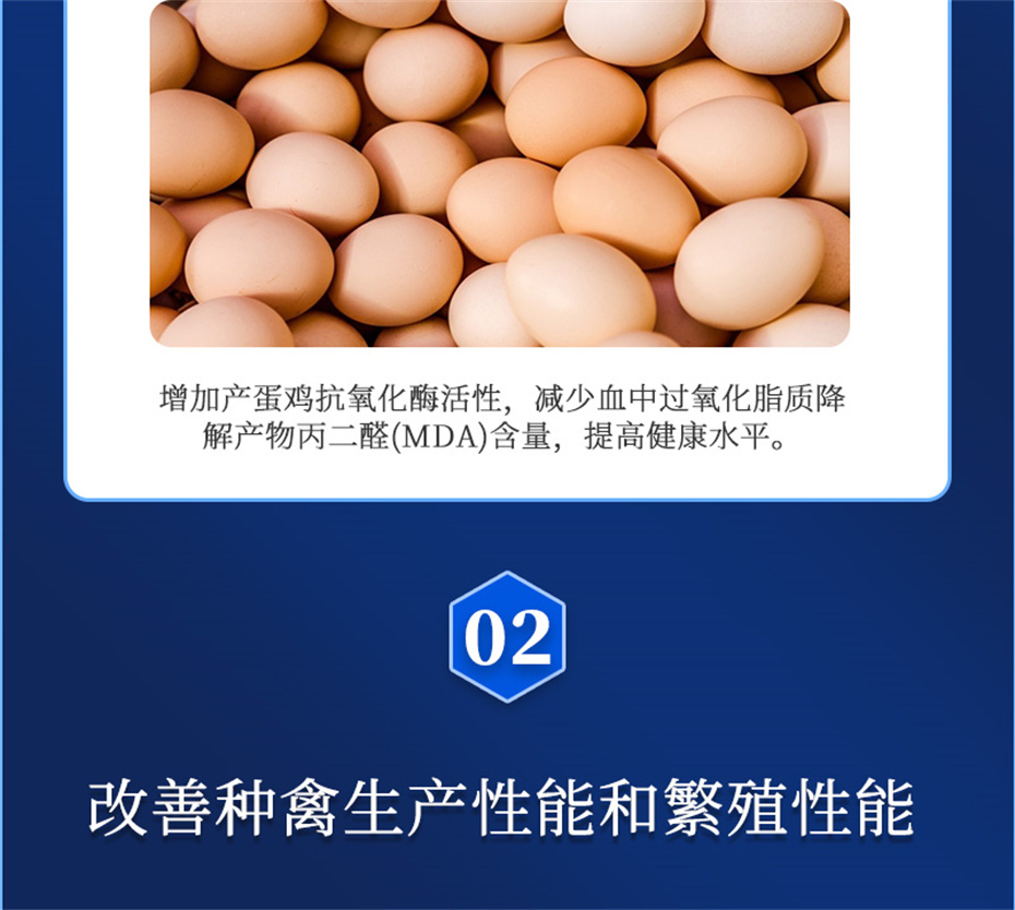 pp������Ϸ�ٷ���վ�������������Ӽ�����Ѫ�ݲ�Ʒ����