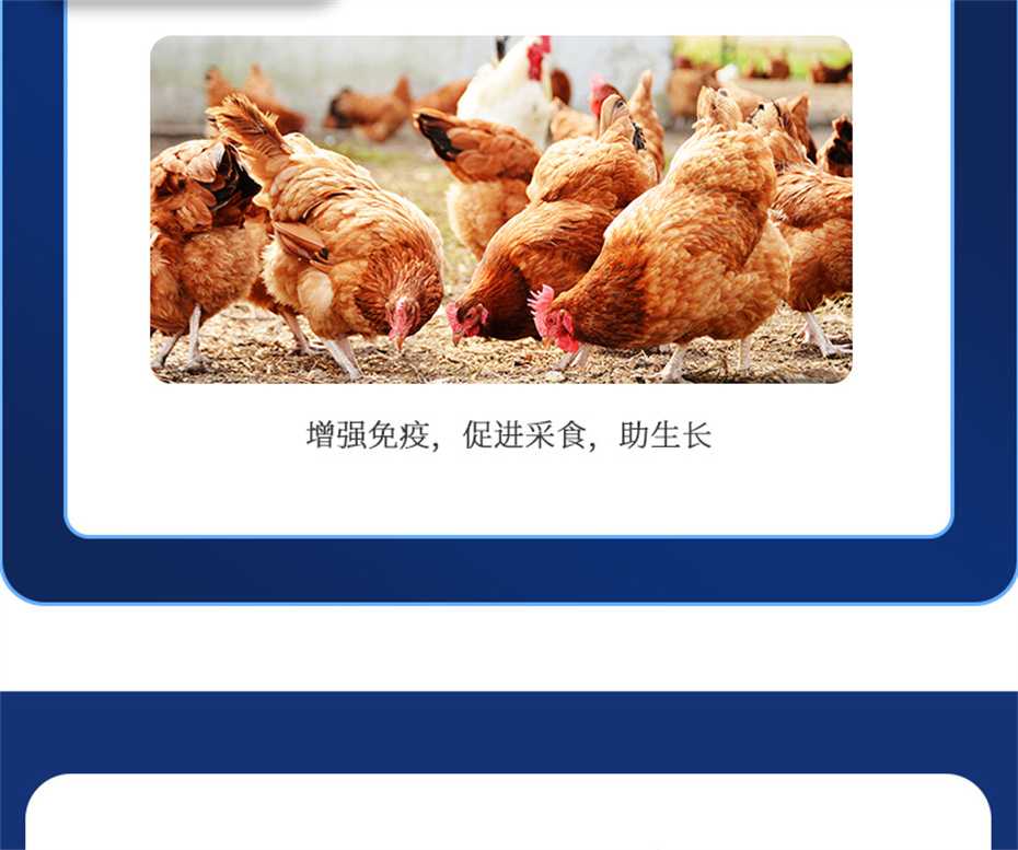 pp������Ϸ�ٷ���վ�������������Ӽ�����Ѫ�ݲ�Ʒ����
