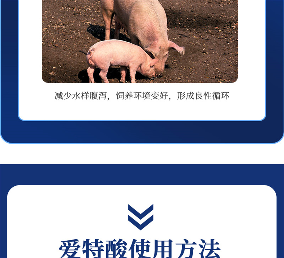 pp������Ϸ�ٷ���վ�������������Ӽ��������Ʒ����