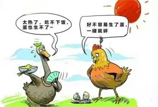 ������Ӧ��������