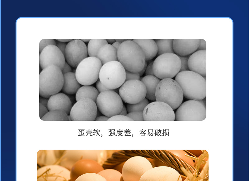 ��������������ҳ_05