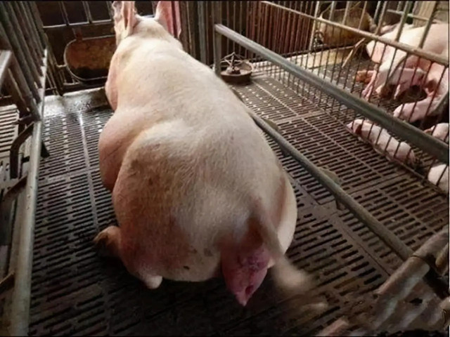 ĸ�����̹���������