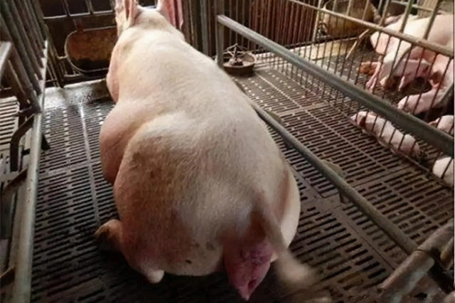 ĸ�����̹���������