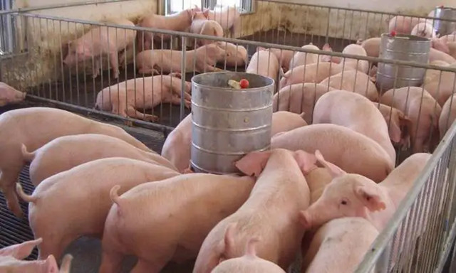 �������Ӽ�������