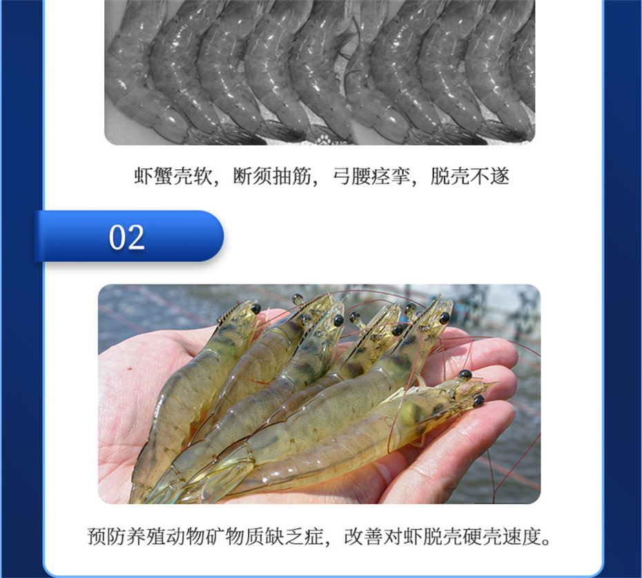 pp������Ϸ�ٷ���վ����ˮ���������Ӽ��ٲ�΢s+��Ʒ����