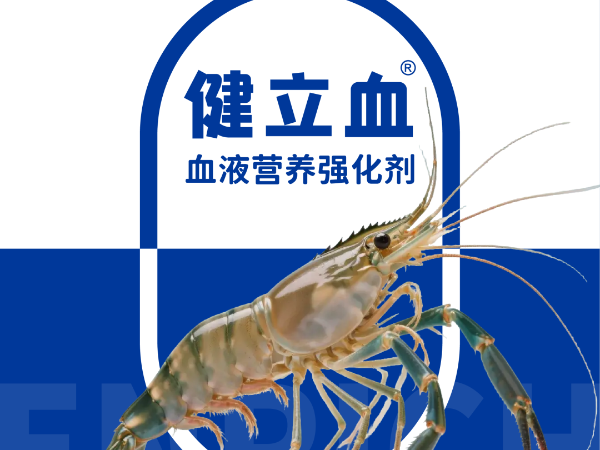 ��ϺҪ��Ѫ��͵��Ӧ�����߲���ԭ������Ϊ����