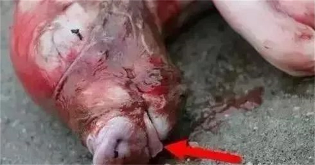�ж�ĸ���Ƿ�����3������ĸ���ӹ���λ