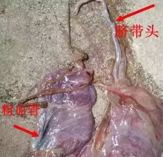 �ж�ĸ���Ƿ�����1���������ͷ