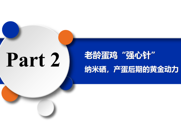 ���䵰����ǿ���롱����Ħ�������������ڵĻƽ���